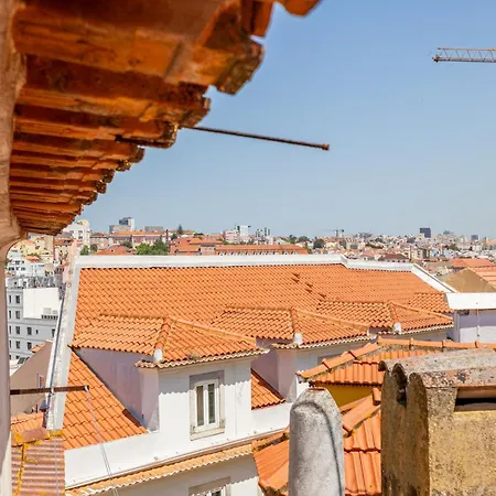 Gralhas * Lisboa