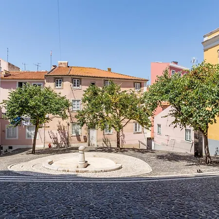 Gralhas * Lisboa