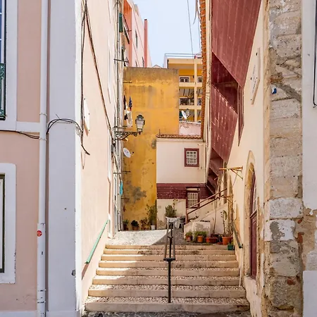Gralhas Lisboa