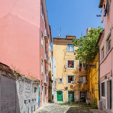 Appartement Gralhas *